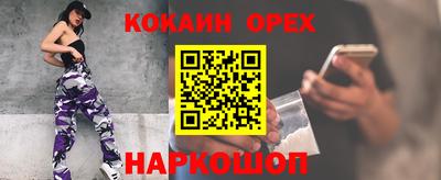 крисы Будённовск