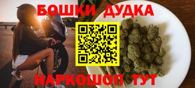 крисы Будённовск