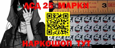 крисы Будённовск
