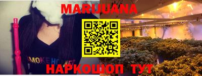крисы Будённовск