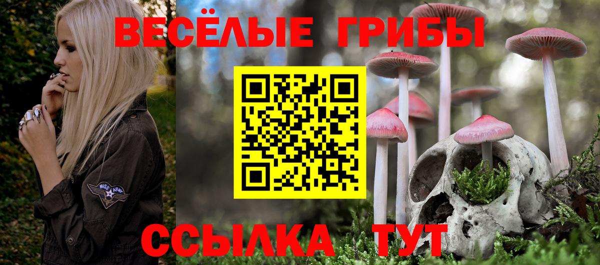 Псилоцибиновые грибы Psilocybe  Галлюциногенные грибы мухоморы  Вход с VPN  Сергиев Посад 