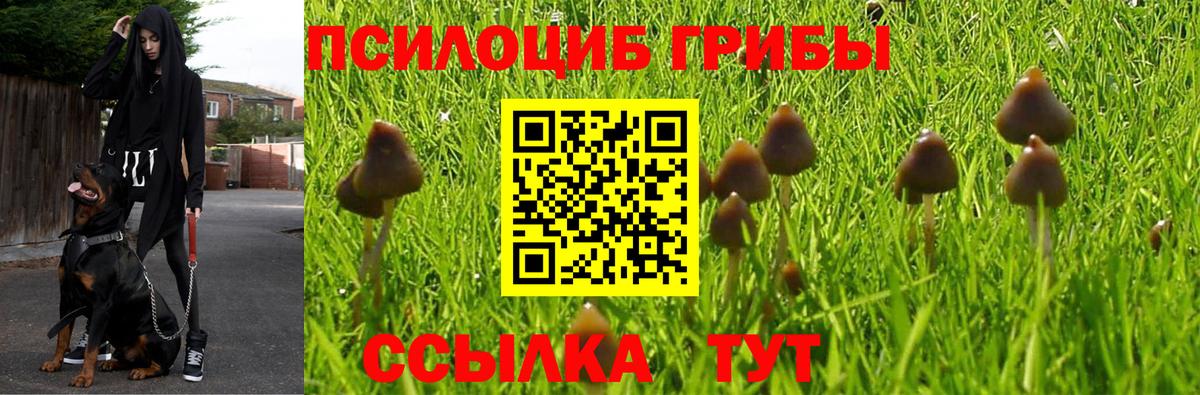 Галлюциногенные грибы прущие грибы Сергиев Посад